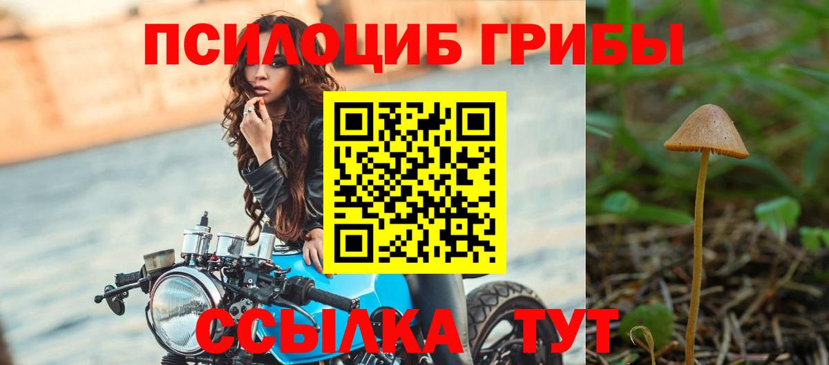 Псилоцибиновые грибы ЛСД  Вход с VPN  где купить   Кудымкар 